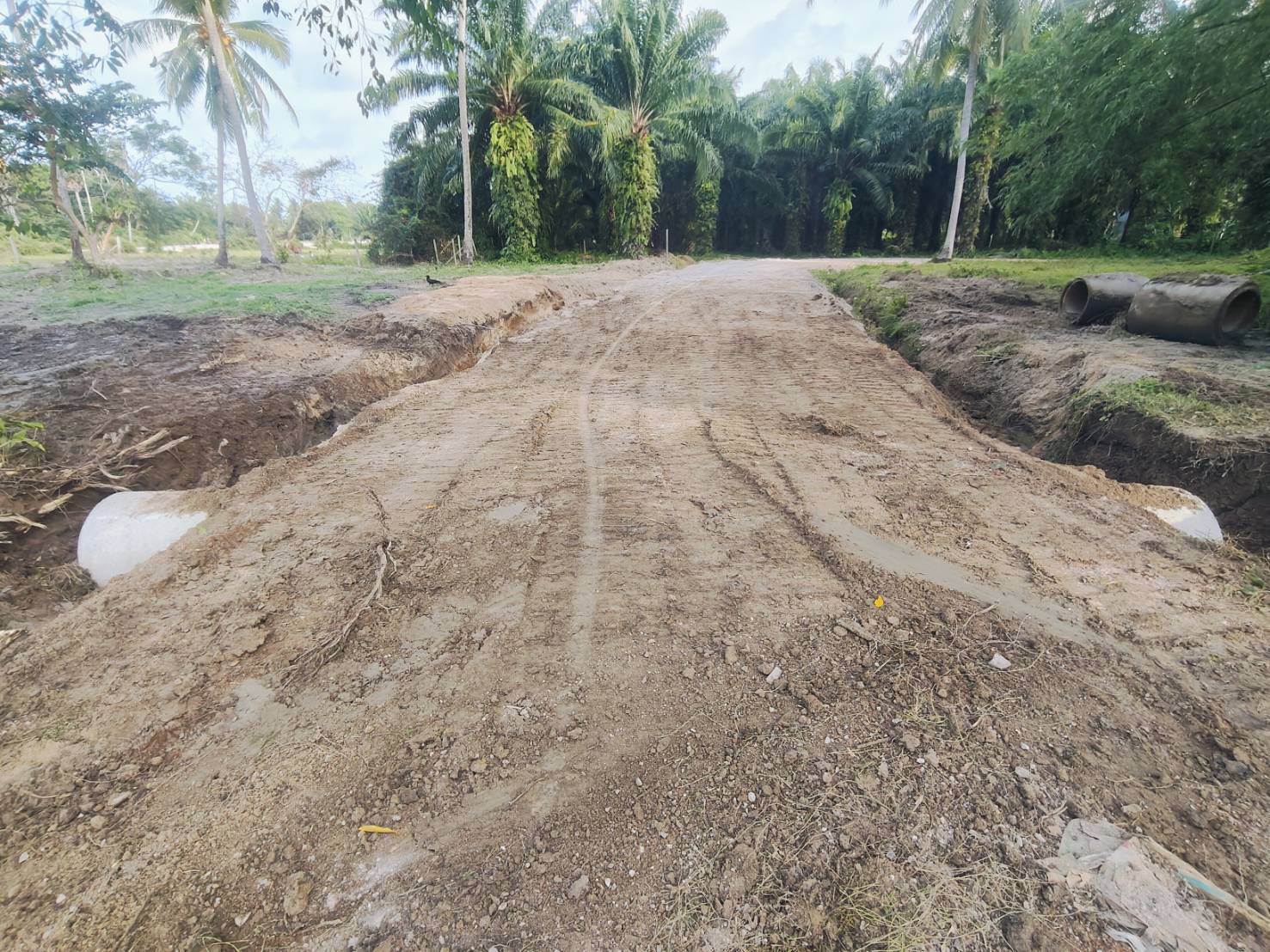 ก่อสร้างถนน  ค.ส.ล. ซอยพลังชัย หมู่ที่ 6